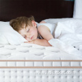 factory buy cheap pocket spring pillow top mattress